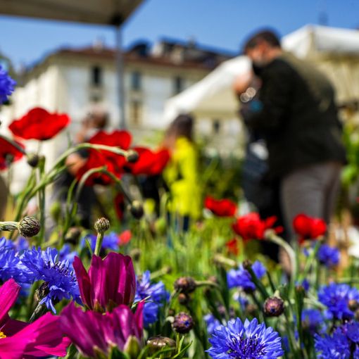 Con Agriflor un piccolo 'assaggio' di natura in attesa dell'appuntamento con Flor