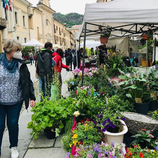 Susa si &quot;tuffa&quot; nel verde: il 15 maggio la seconda edizione di Agriflor