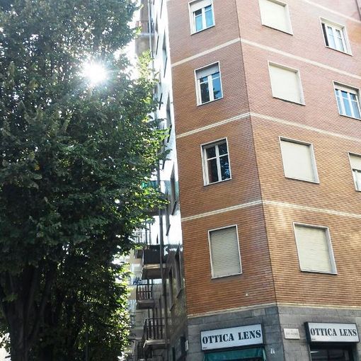 &quot;Regala un albero alla tua Città&quot;, approvate le nuove linee guida