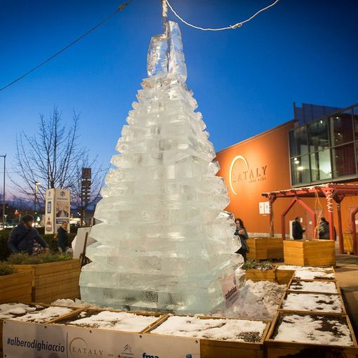 Lo spettacolo di luci e colori dell'albero di ghiaccio nel piazzale di Eataly Torino Lingotto (FOTO E VIDEO)