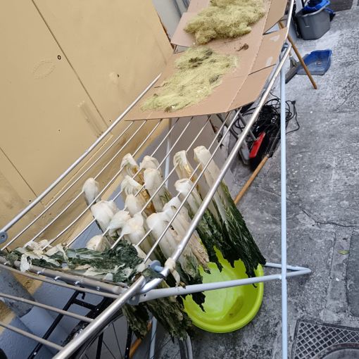 Lavoratori in nero ed alimenti senza etichette: 50mila euro di multa ai locali di San Salvario