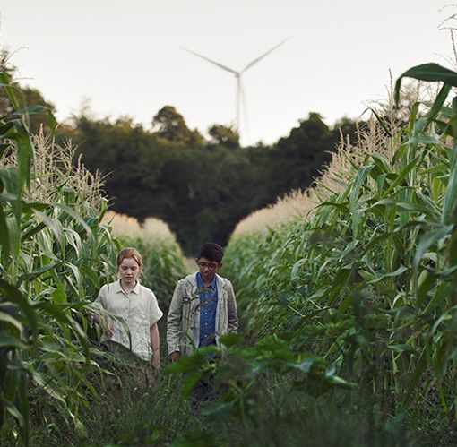 CinemAmbiente in sala e online: 89 film per raccontare la transizione ecologica