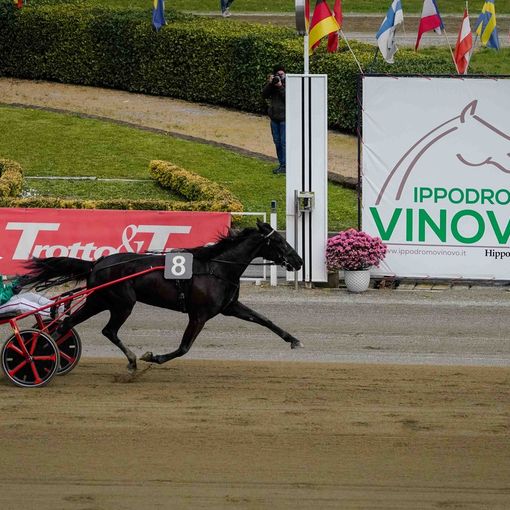 Gran Premio Città di Torino, Bleff Dipa e Blackflash Bar fanno il vuoto