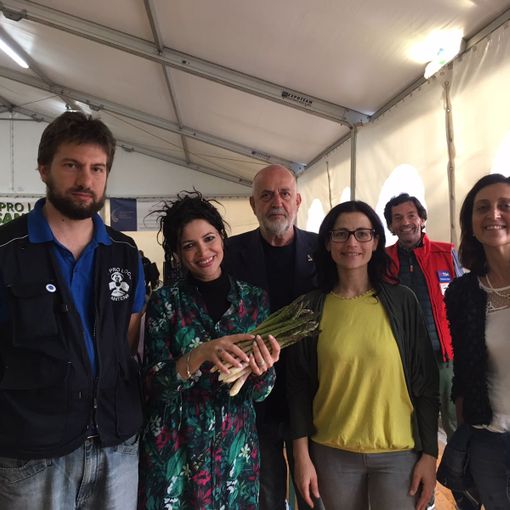 Si avvia alla conclusione l'Asparisagra di Santena, la sagra che celebra la tradizione del prodotto tipico della cittadina