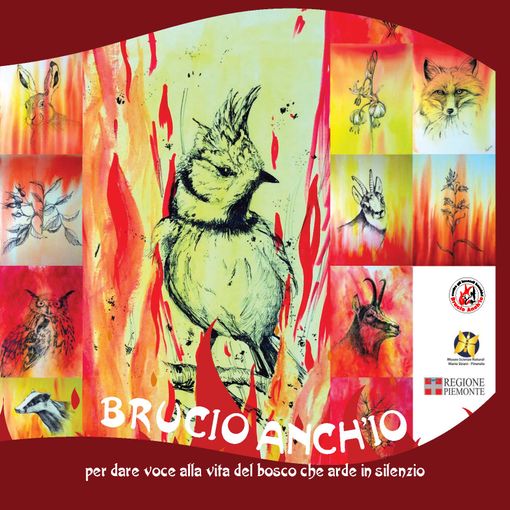 “Brucio anch’io”, in Regione la mostra in ricordo dei boschi divorati dalle fiamme