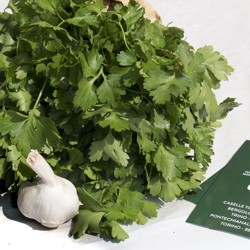 Domenica piazza Madama Cristina ospita il Festival Mondiale del Bagnetto Verde