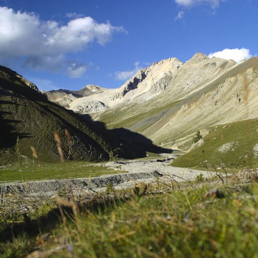 A Bardonecchia dal 29 agosto al 1 settembre raduno della Chiesa Pastafariana