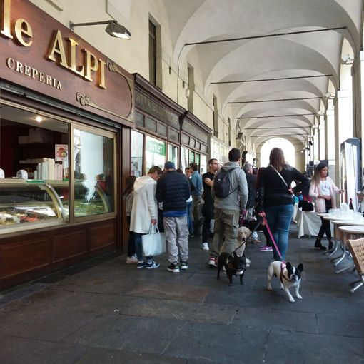 Bau Bau Street, tutti a passeggio con il cane in via Po