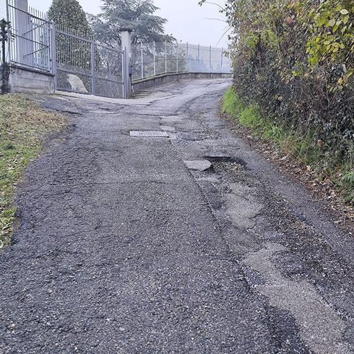 Buche-cratere sulla collina di Torino, ma anche in corso Dante e corso Unità d'Italia