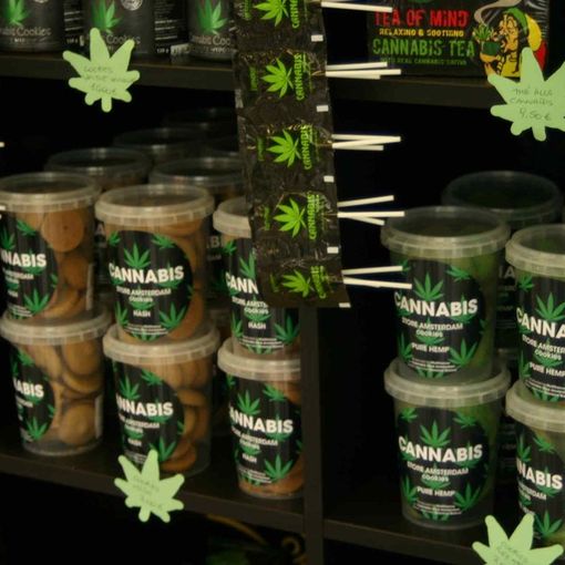 Cannabis, Andrissi–Bono (M5S): “Anche in Piemonte un centro per la produzione di cannabis terapeutica&quot;