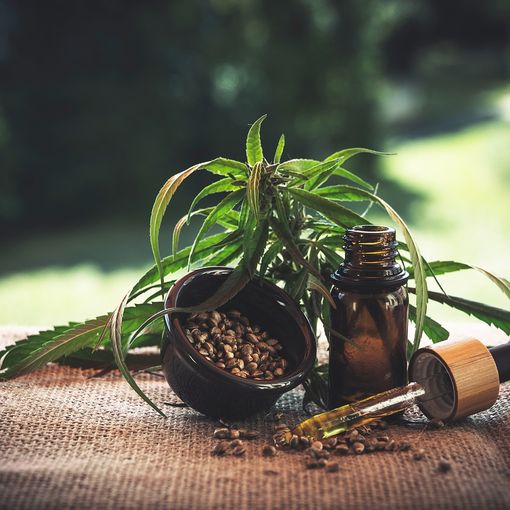 Il CBD, una sostanza non psicoattiva che si trova nella cannabis, può aiutare ad alleviare i sintomi del Covid-19