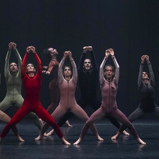 Palcoscenico Danza &quot;vola oltre&quot;. Mohovich: &quot;Sette spettacoli che rompono gli schemi per trasportarci in un'altra dimensione&quot; [VIDEO]