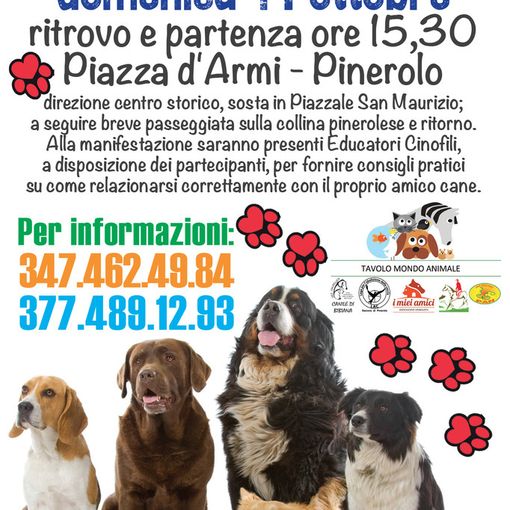 Uomo-Cane a spasso insieme: è la &quot;Passeggiata a sei zampe&quot;