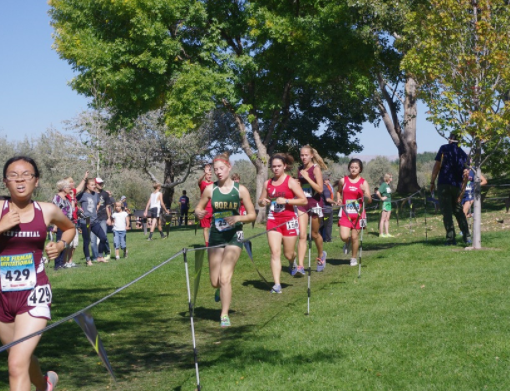 Campionati Europei di Cross Country saltati fino al 2022