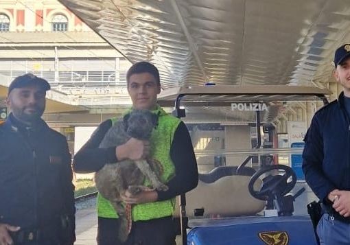 Un cane smarrito rischia di finire sui binari del treno a Porta Nuova: la polizia interviene e lo salva