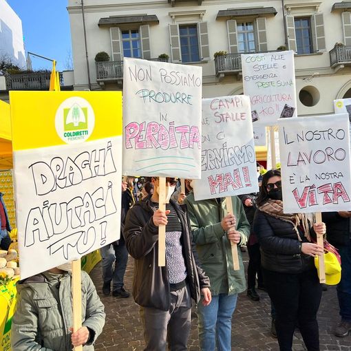 La protesta di agricoltori e allevatori in piazza Vittorio (foto credit Marco Panzarella)