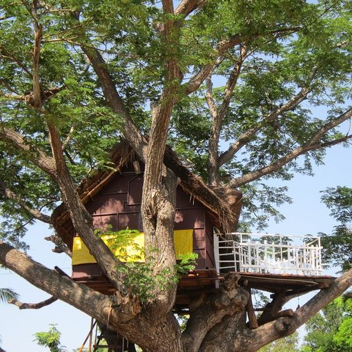 Dormire in una casa sugli alberi, un'esperienza insolita che coinvolge grandi e piccoli!
