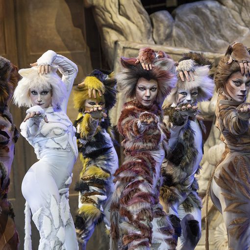 &quot;Cats&quot;, al Colosseo il 5 dicembre 2023 (foto Gianluca Saragò)