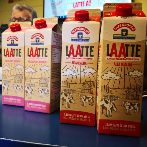 Nasce in Piemonte il 1° Latte Fresco Pastorizzato in Italia ad alta digeribilità con Beta-Caseina [VIDEO]