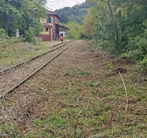 Gavazza (Lega Salvini Piemonte): &quot;Avviata ripulitura e bonifica della tratta Chivazzo-Brozolo&quot;