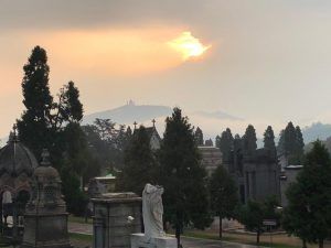 Cimiteri, approvato il bilancio di AFC Torino: utile di quasi 3 milioni