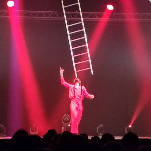 Grande successo a Grugliasco per lo spettacolo solidale di Cirko Vertigo