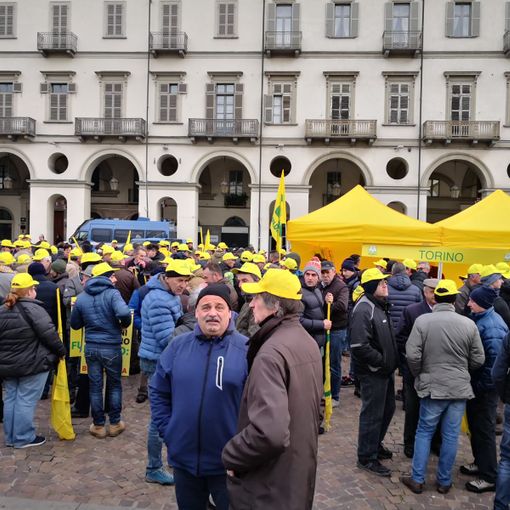 Coldiretti Piemonte, manovra: &quot;Bene le misure per l’agricoltura”