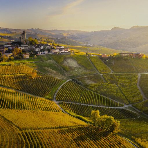 È stata lanciata una petizione su change.org per chiedere alle istituzioni locali e nazionali di inserire Torino-Piemonte World Food Capital tra le priorità delle prossime azioni