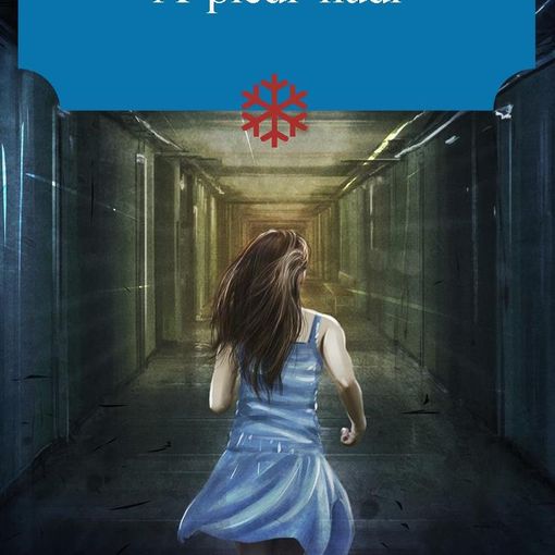 Esce “A piedi Nudi”, il nuovo romanzo del torinese Claudio Secci