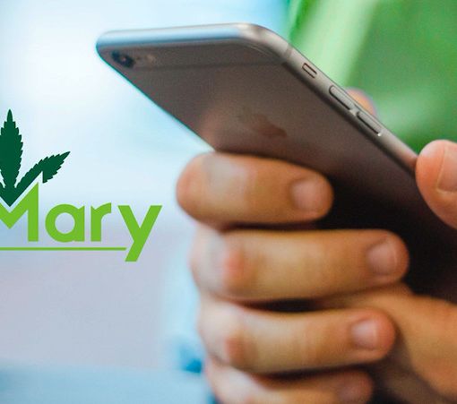 A Torino JustMary.fun consegna gratis a casa la cannabis legale