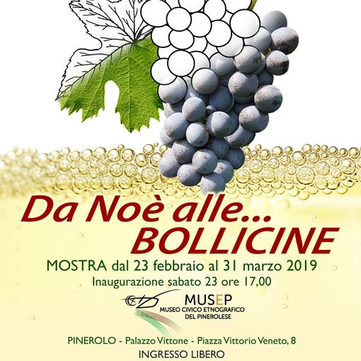 Da noé alle bollicine: al Musep di Pinerolo una mostra sulla storia della vite
