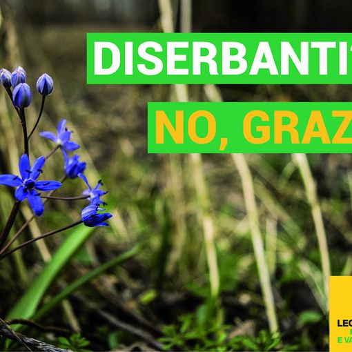 Appello di Legambiente ai Sindaci: “Basta diserbanti tossici, le alternative ci sono”
