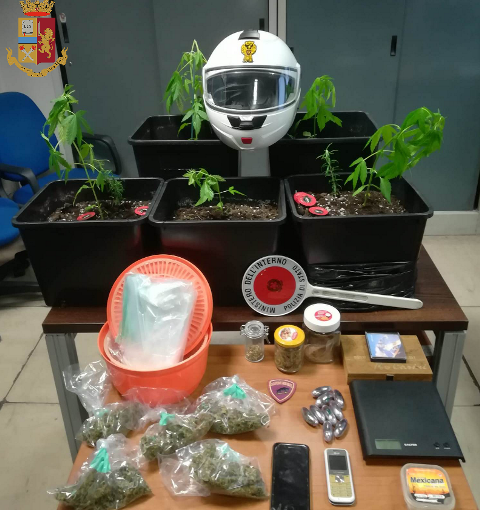 Piantine di marijuana sul balcone, arrestato 41enne con precedenti a carico