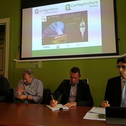 Il Piemonte brinda anche col vino torinese: cresce l'Erbaluce di Caluso