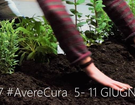 Prendersi cura dell'ambiente e del territorio: alla Circoscrizione 7 arriva Earthink Festival