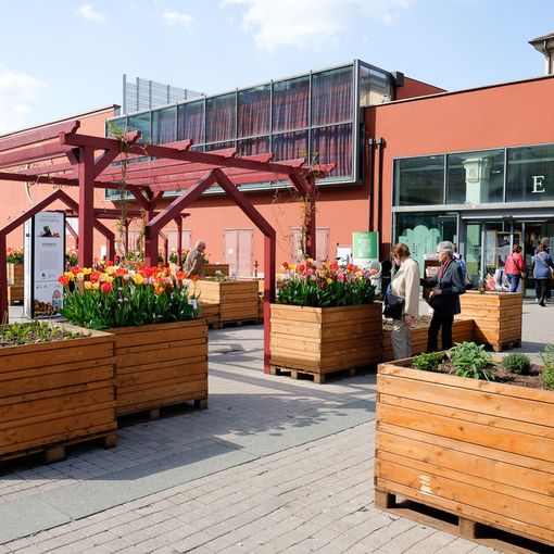 Eataly Lingotto festeggia la giornata della biodiversità
