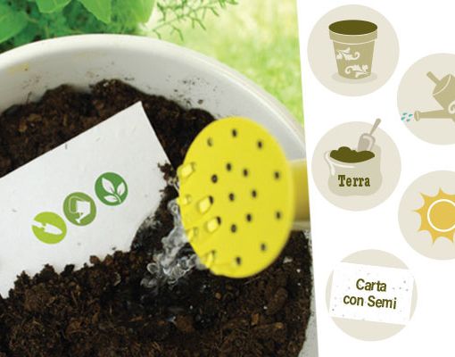 Pianta la Tua Carta con Semi: iGreen, il progetto che aiuta l'ambiente!