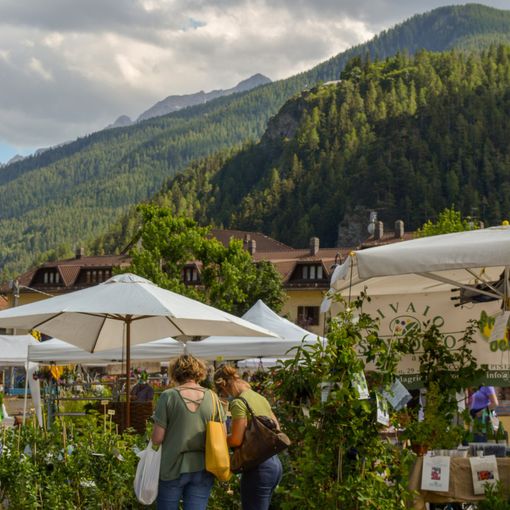 Flor sale in alta quota e dà appuntamento il 30 giugno a Bardonecchia