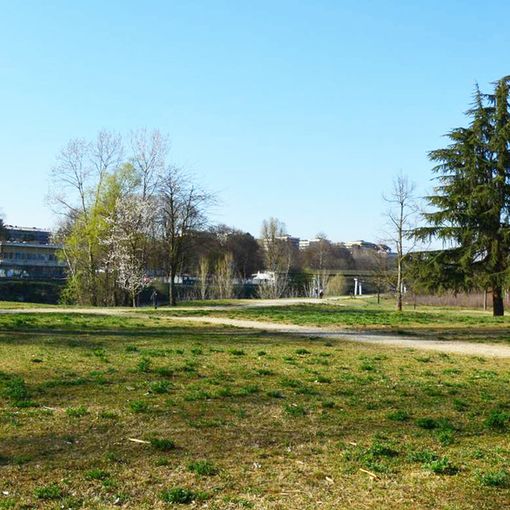 Un workshop per imparare a produrre velocemente nuovo suolo urbano