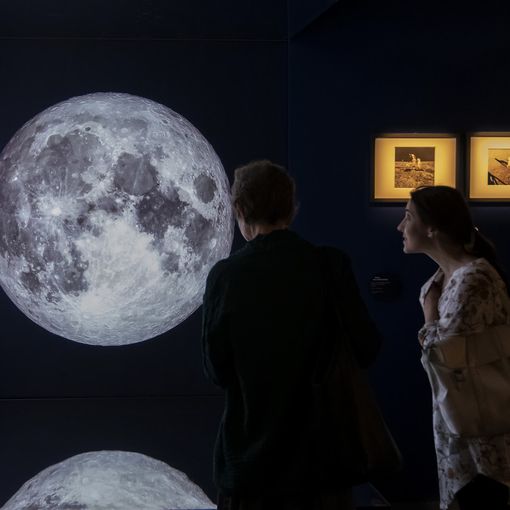 Torino sbarca sulla Luna 50 anni dopo: da Verne a Chagall, l'astro d'argento in mostra [FOTO]