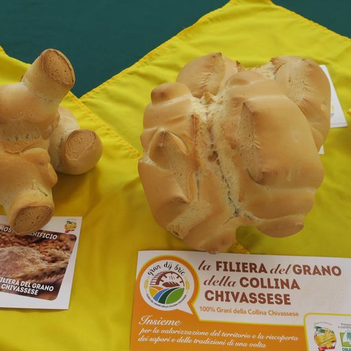 Coldiretti valorizza il grano della tradizione: due nuove filiere a Chivasso e Stupinigi
