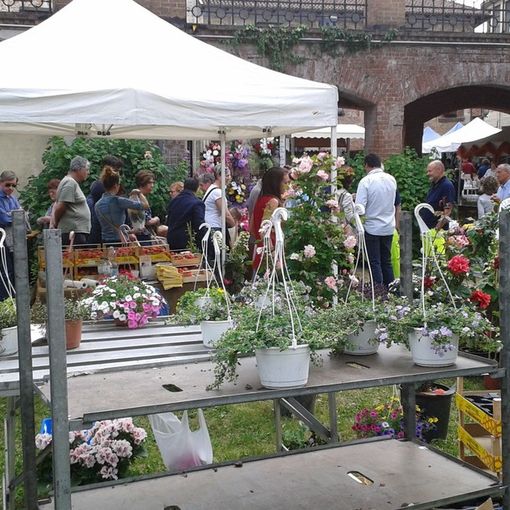 A Carignano fervono i preparativi per le &quot;nozze d'argento&quot; di Fiori &amp; Vini