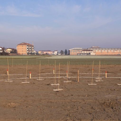 1.000 nuovi alberi nel Comune di Carmagnola grazie all’impegno di E.ON