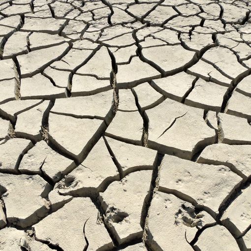 Siccità estrema del Po: nessuna pioggia in vista fino alla metà di aprile e ulteriore calo delle  portate