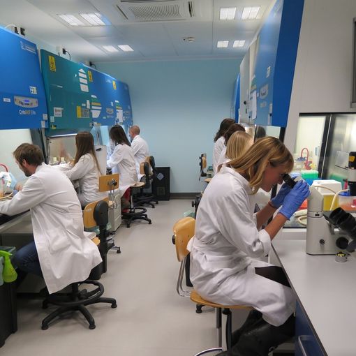 Dall’istituto di Candiolo Irccs una scoperta rivoluzionaria per contrastare il cancro al colon-retto