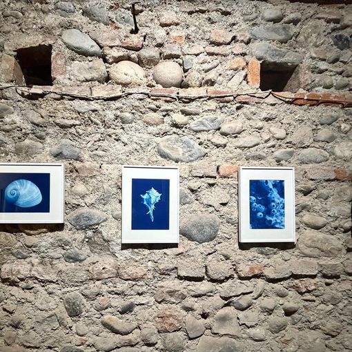 Tra passato e presente con la Fotografia Alchemica: 9 artisti per 16 tecniche diverse