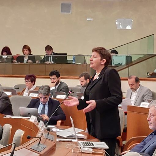 Frediani (M5S): “Tre bandi per nuovi dirigenti, ignorate le risorse interne&quot;