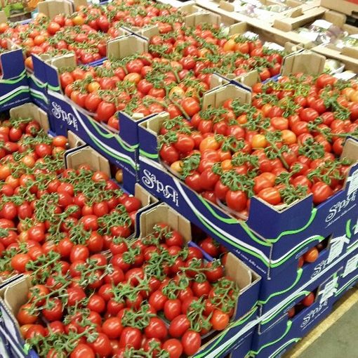 Coronavirus, Coldiretti Piemonte:&quot;500 Kg alla settimana di ortofrutta Made in Piemonte alla Caritas&quot;