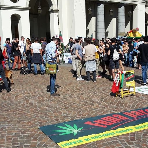 Fuma Parei: insieme per la cannabis e contro le mafie