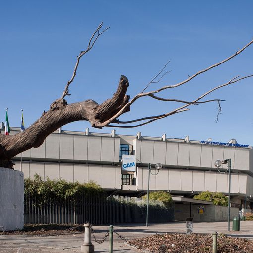 Appuntamenti alla Fondazione Torino Musei sabato 12, domenica 13 e lunedì 14 ottobre 2019